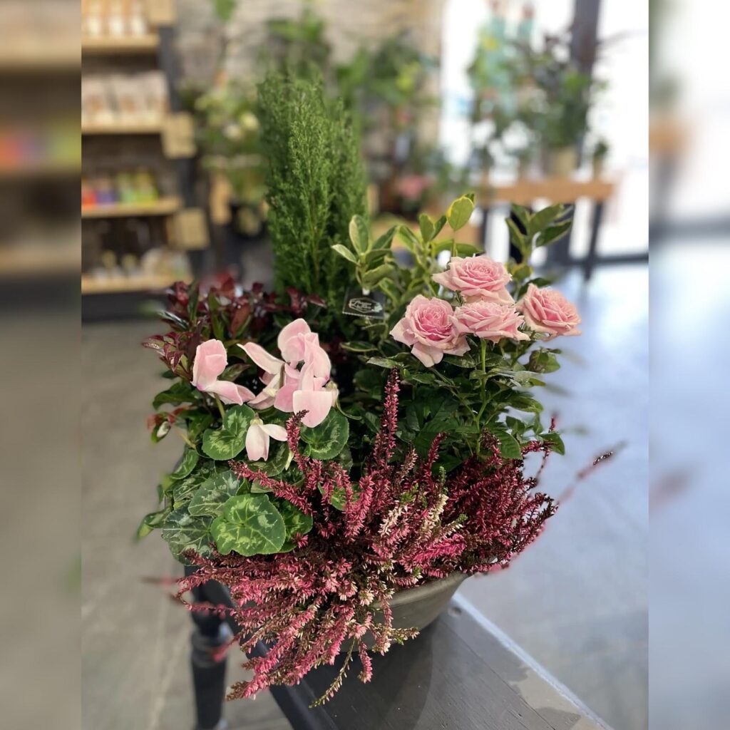 Coupe de plantes Intermédiaire
