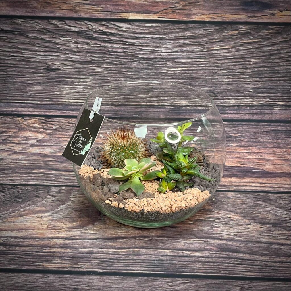 TERRARIUM NATURE